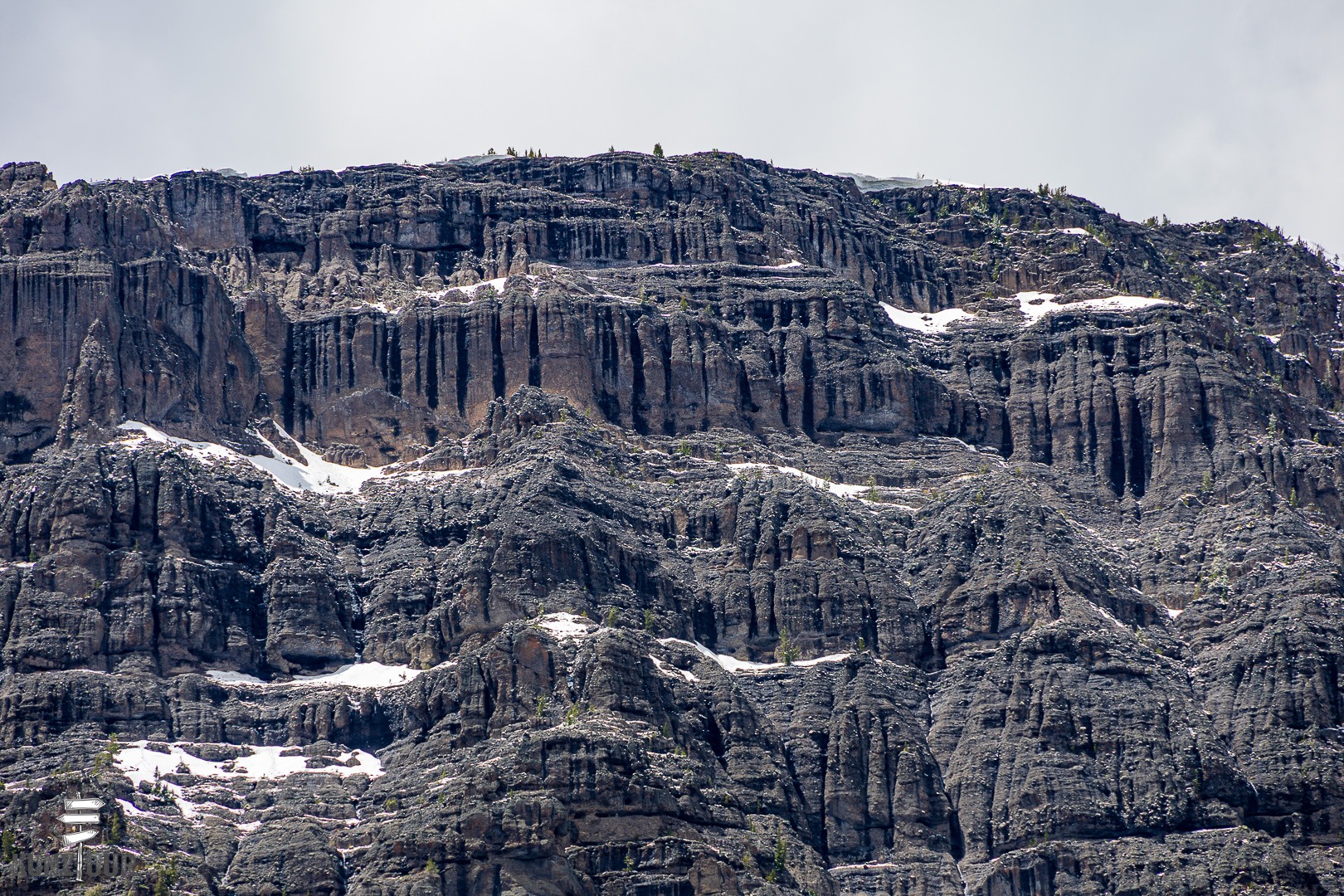 2026_US_Wyoming_Yellowstone-NP_Lamar-Valley-7106