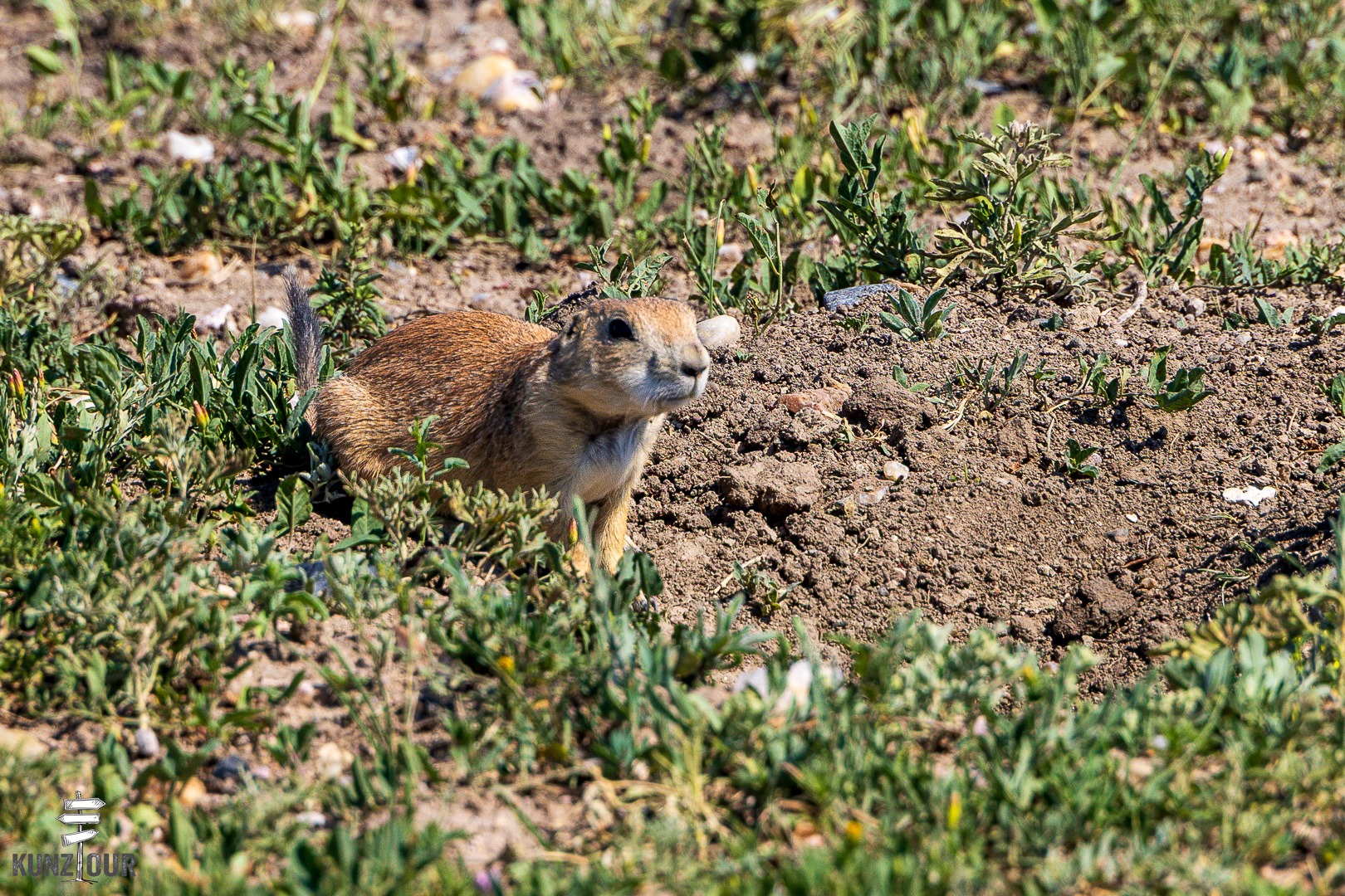 2026_US_South-Dakota_Badlands-NP-9012