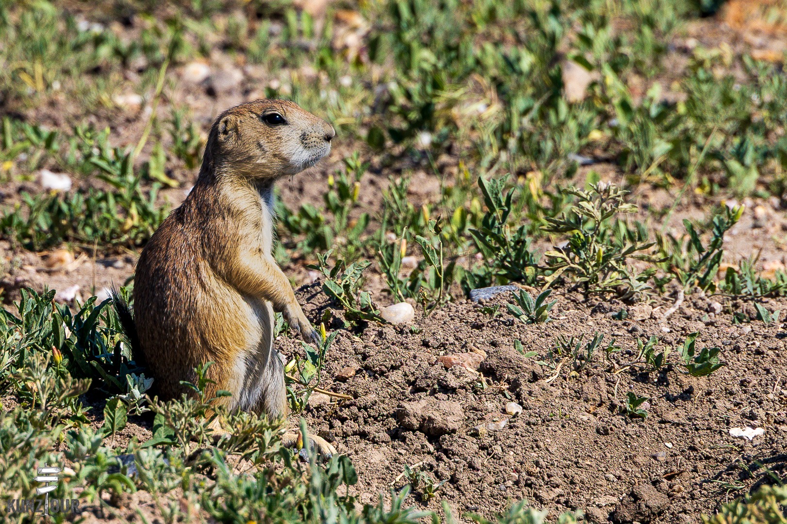 2026_US_South-Dakota_Badlands-NP-9015