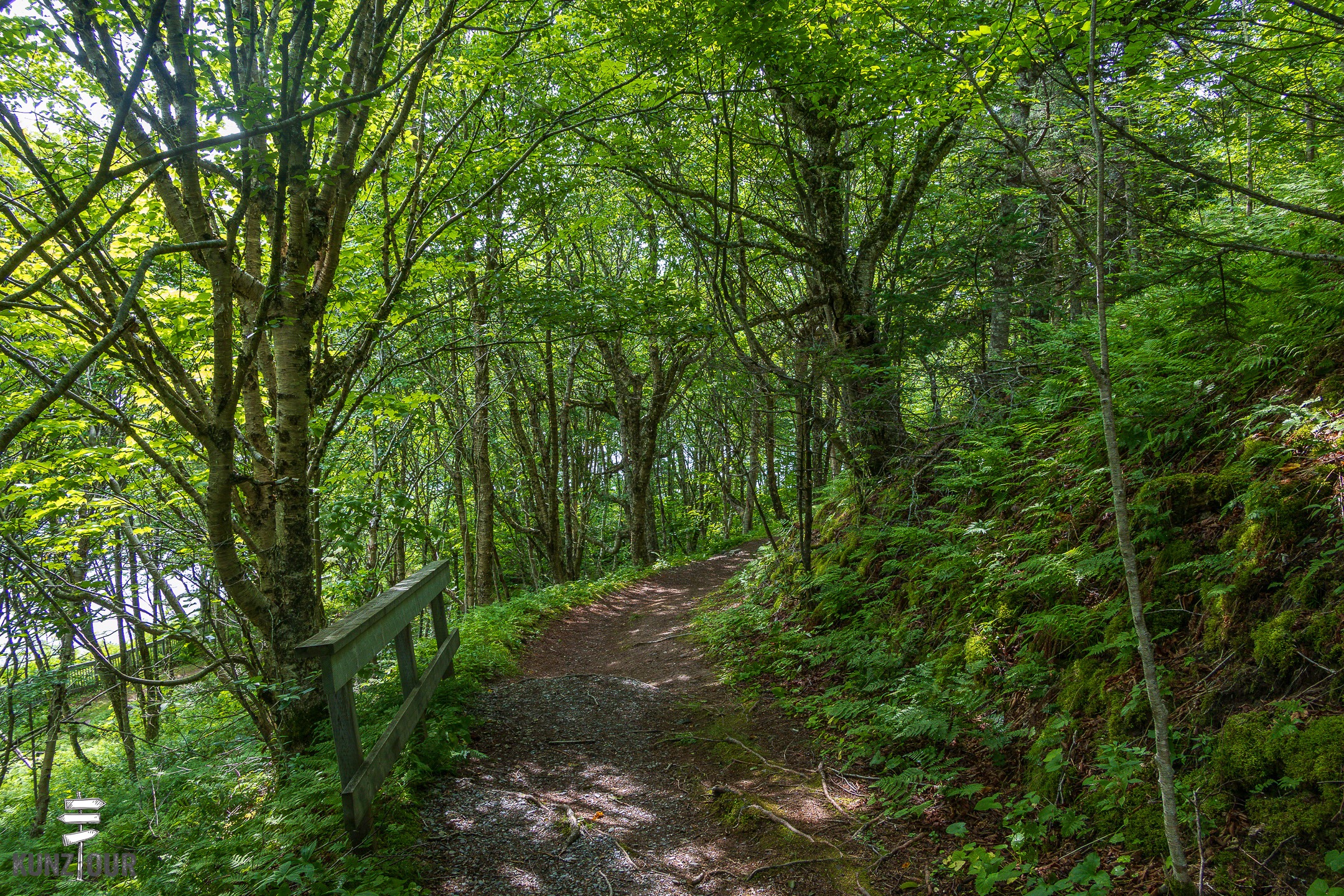 2026_CA_New-Brunswick_Fundy-Trail-Parkway_Flowerpot-Rock-Footpath-9453