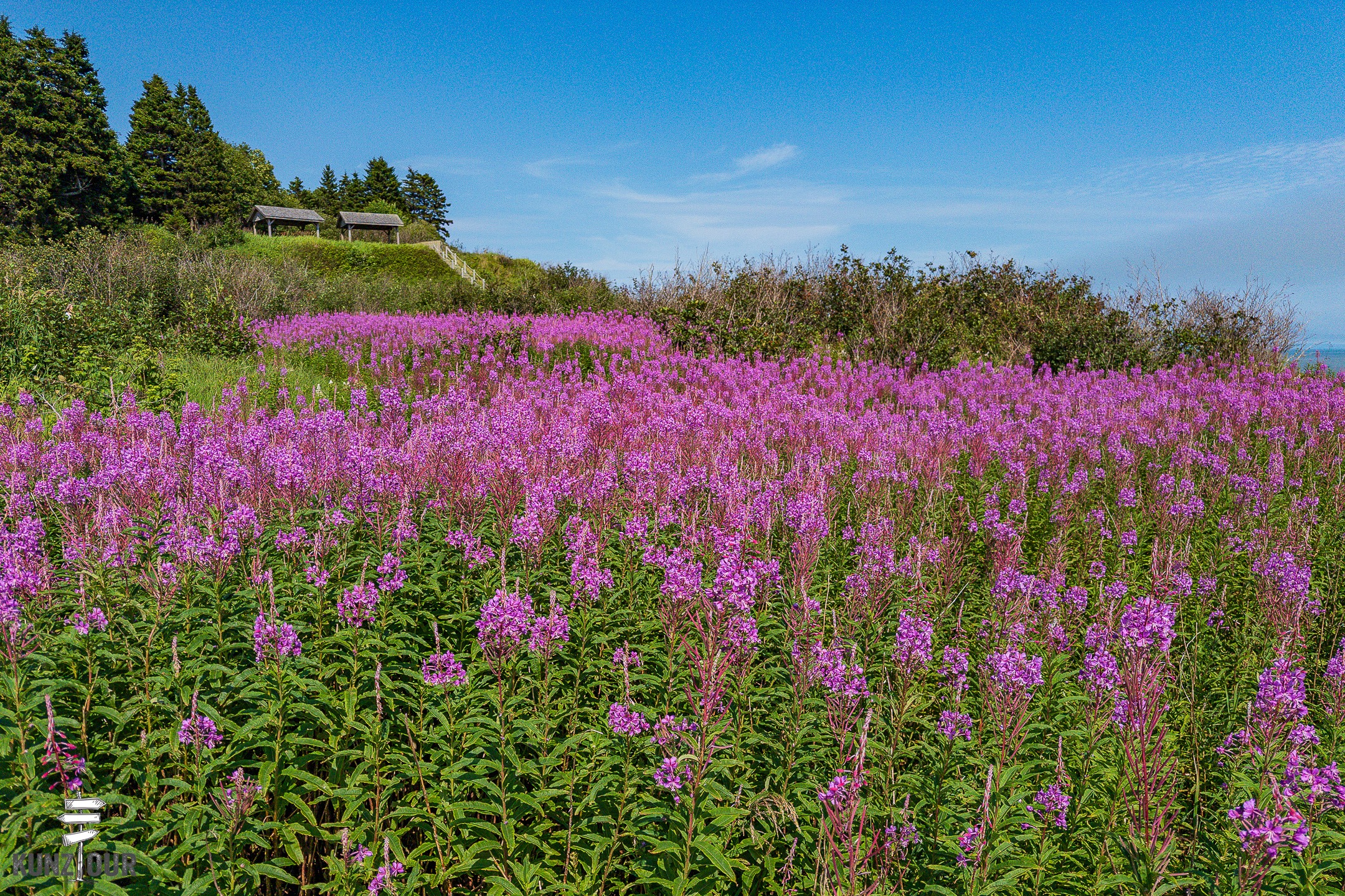 2026_CA_New-Brunswick_Fundy-Trail-Parkway_Long-Beach-3225