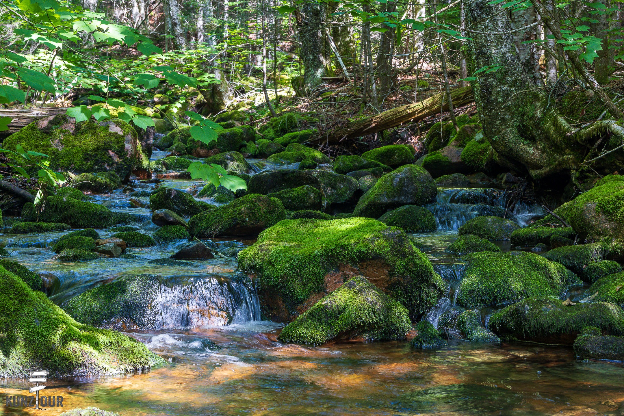 2026_CA_New-Brunswick_Fundy-Trail-Parkway_Melvin-Beach-9484