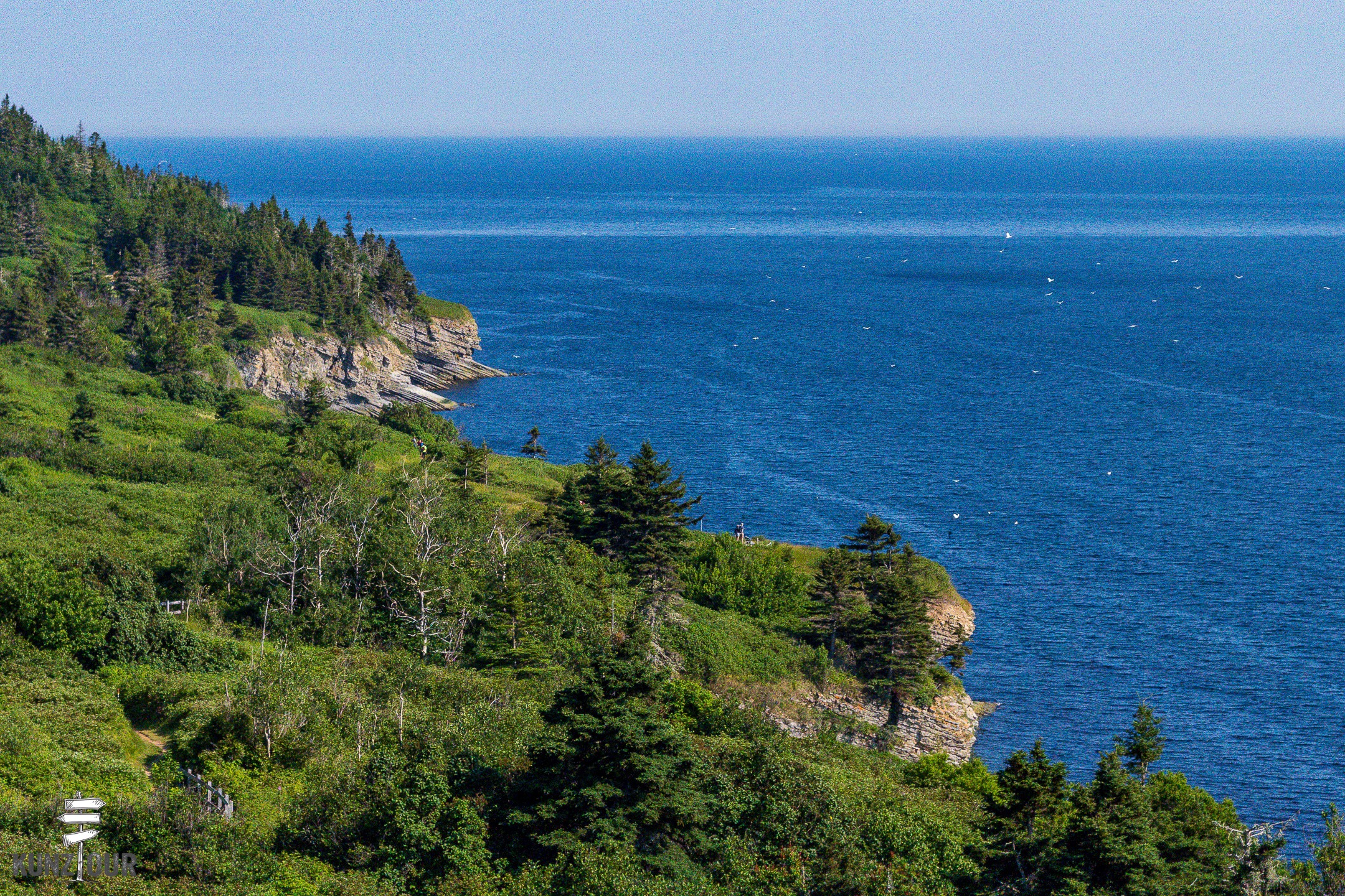 2026_CA_Quebec_Gaspe-Peninsula-3081