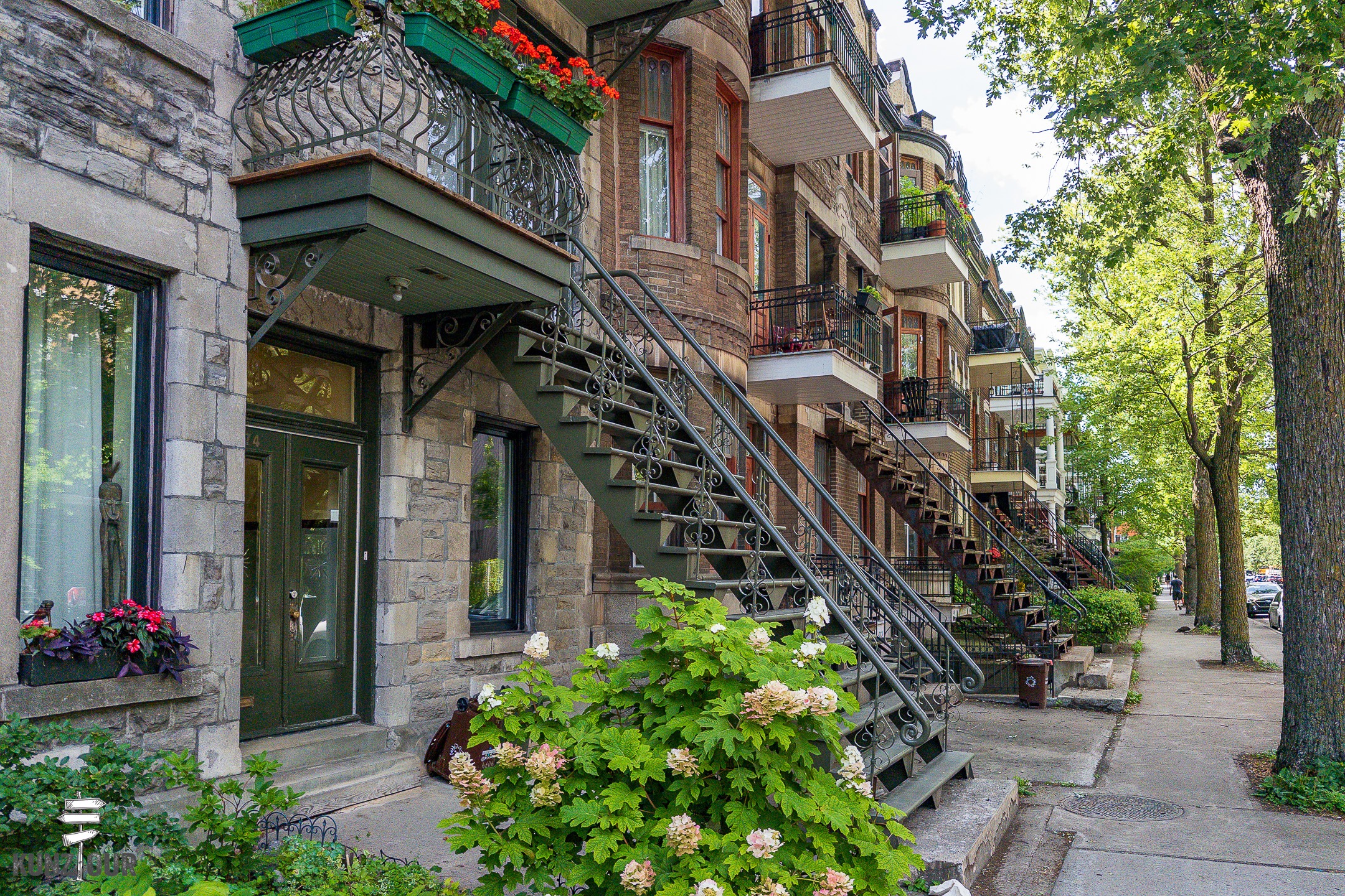 2026_CA_Quebec_Montreal-2949