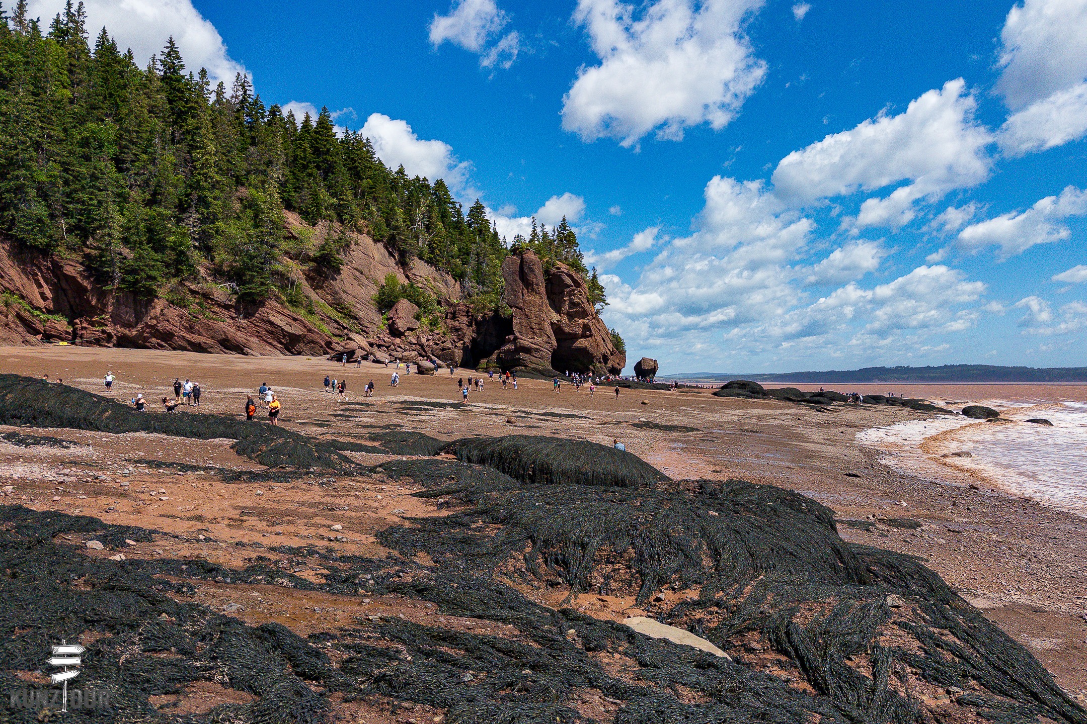 2026_CA_New-Brunswick_Hopewell-Rocks-PP-3316