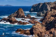 Twillingate