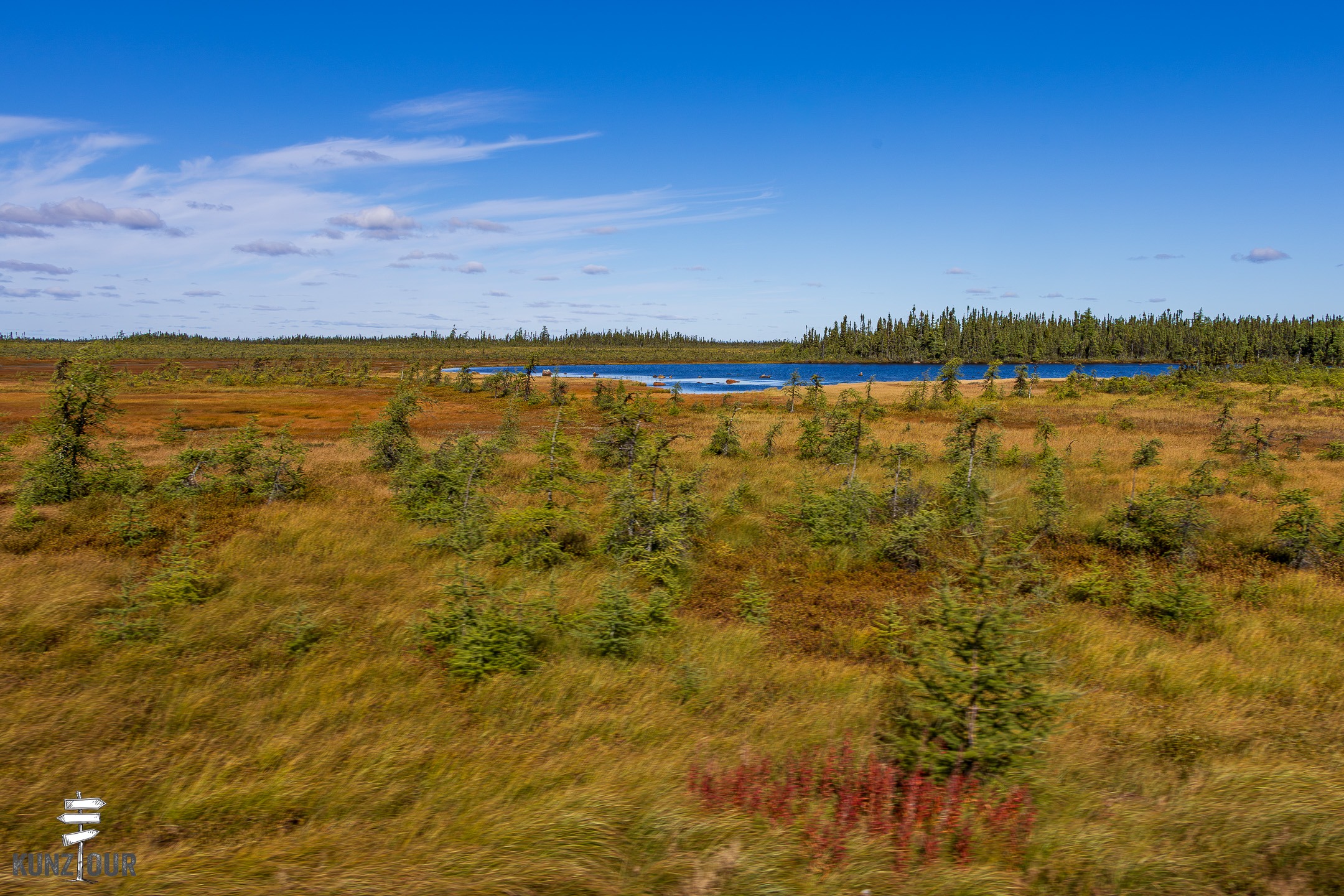 2026_CA_Labrador_Hyw#510-1129