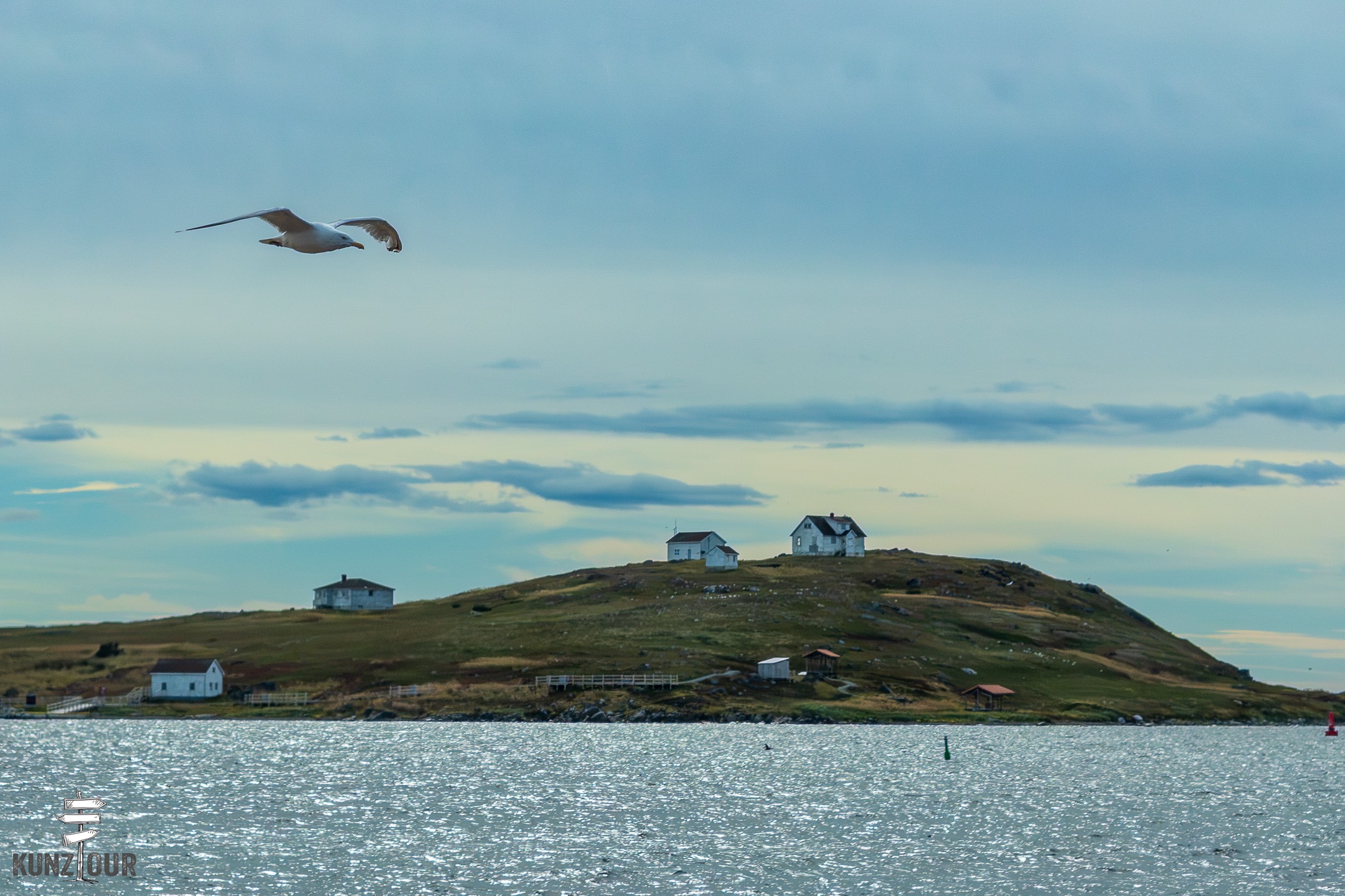 2026_CA_Labrador_Saddle-Island-4321